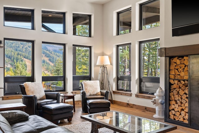 living room with a high ceiling and hardwood / wood-style floors