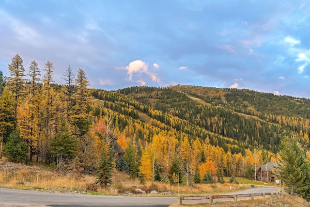 view of mountain feature