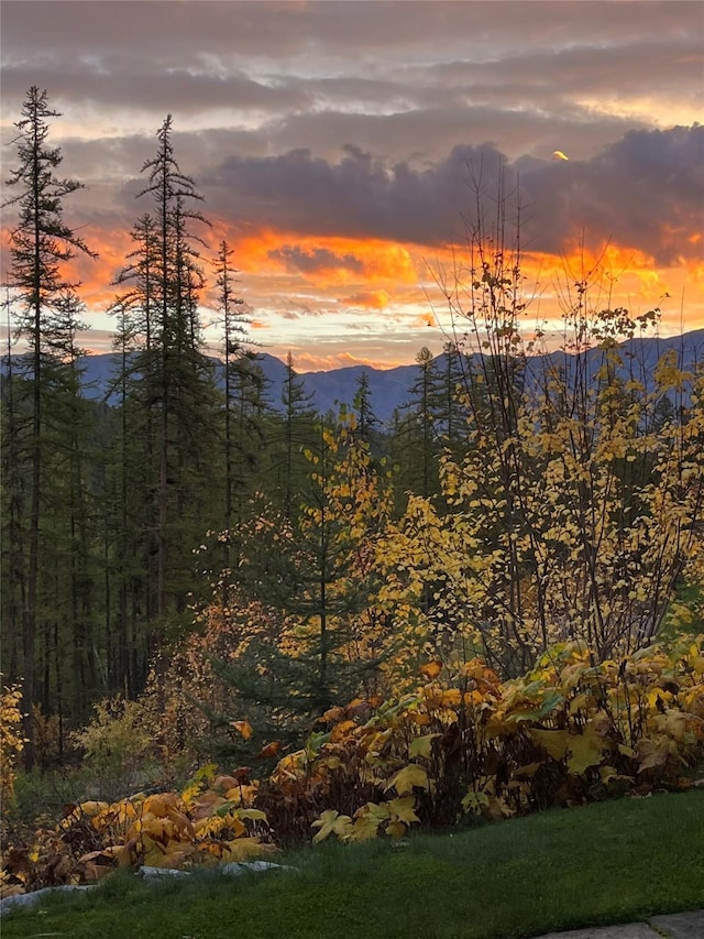 property view of mountains