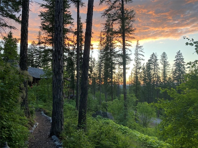 view of nature at dusk