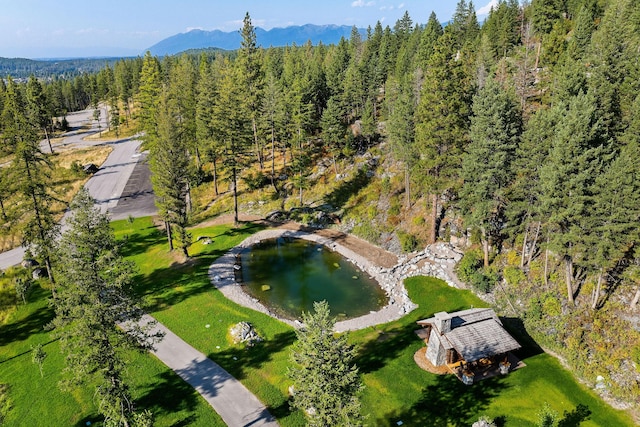 bird's eye view featuring a water and mountain view