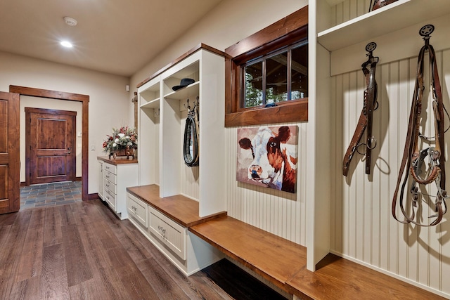 mudroom featuring dark wood-type flooring