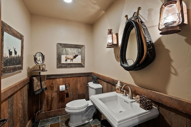 bathroom with sink and toilet