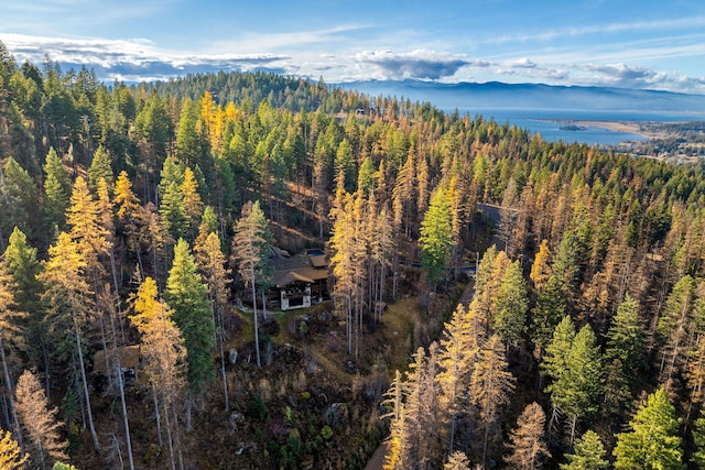 bird's eye view with a mountain view