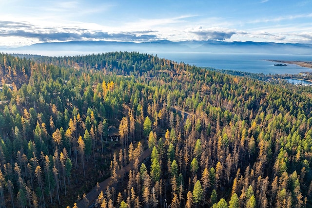 bird's eye view featuring a water and mountain view