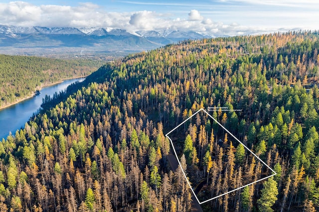 birds eye view of property featuring a water and mountain view