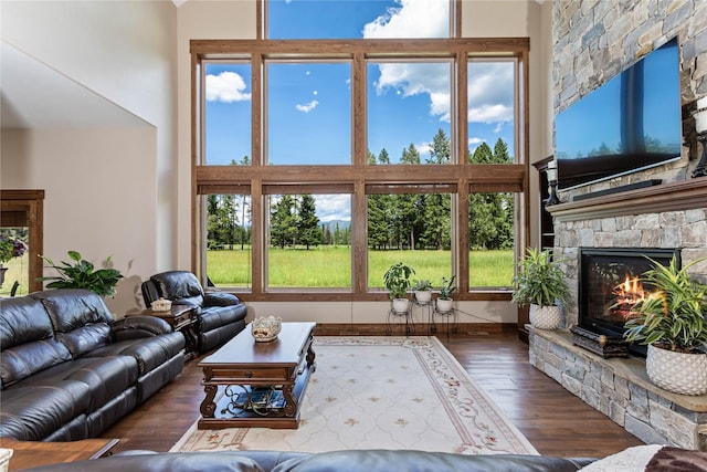 living room with a fireplace, a towering ceiling, and dark hardwood / wood-style floors