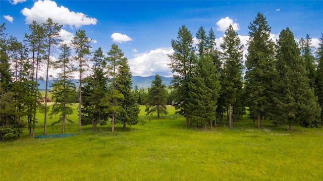 view of home's community featuring a mountain view, a rural view, and a lawn