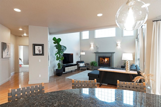 living room with hardwood / wood-style floors