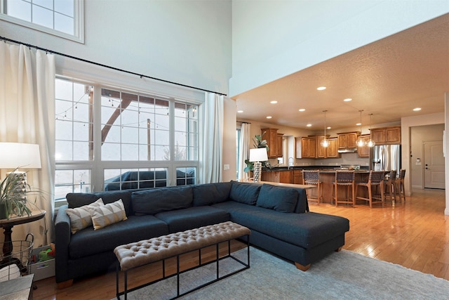 living room with a high ceiling, sink, and light hardwood / wood-style flooring