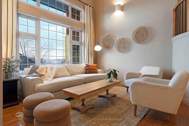 living room featuring hardwood / wood-style flooring