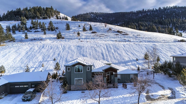 view of snowy aerial view