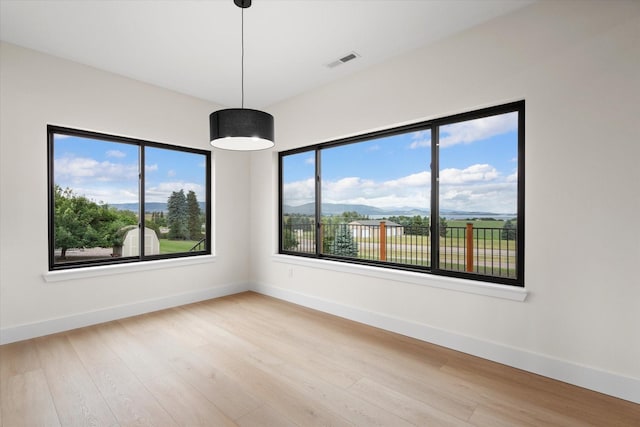 empty room with light hardwood / wood-style flooring