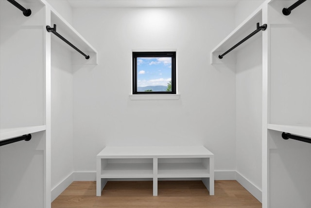 walk in closet with light wood-type flooring