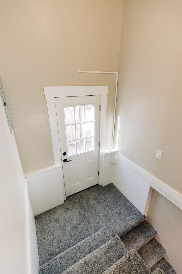 stairway featuring carpet flooring