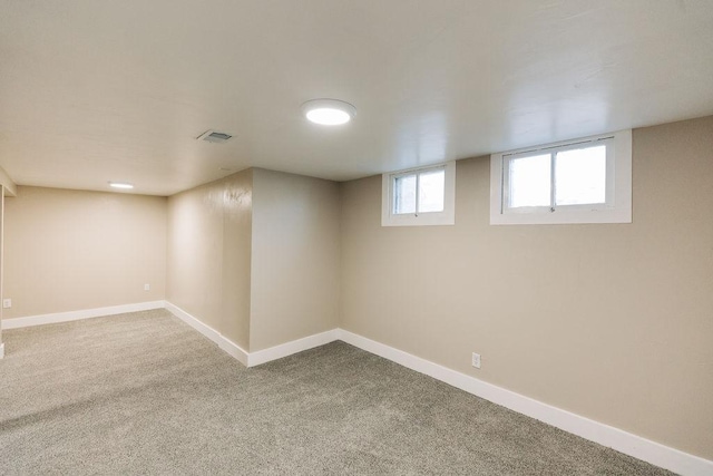 basement featuring carpet floors