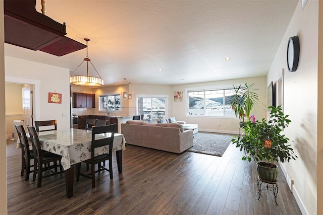 dining area featuring dark wood-type flooring