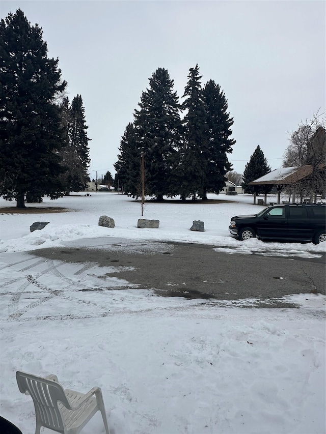 view of snowy yard