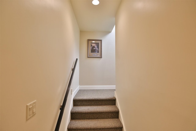 stairway featuring carpet floors