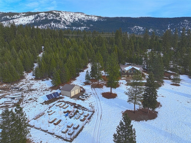 snowy aerial view featuring a mountain view