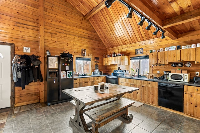 kitchen with sink, track lighting, wooden walls, and black appliances