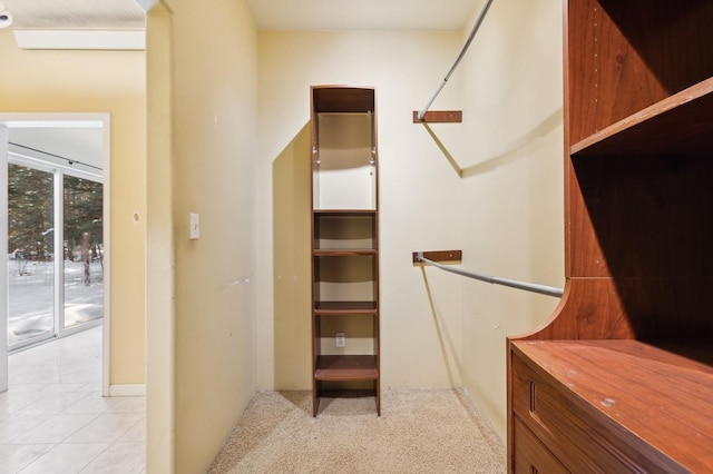 spacious closet featuring light carpet