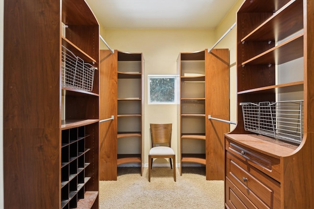 walk in closet with carpet flooring