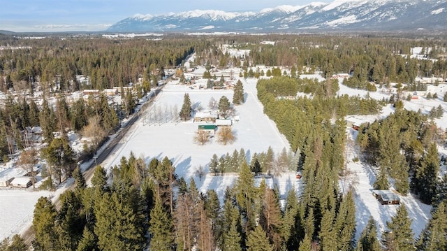 snowy aerial view featuring a mountain view