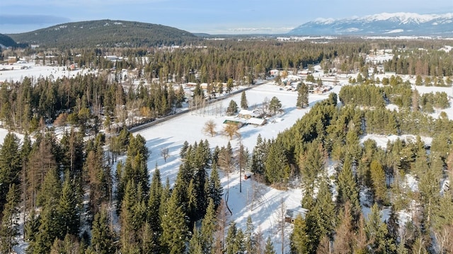 snowy aerial view with a mountain view