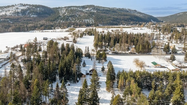 snowy aerial view with a mountain view