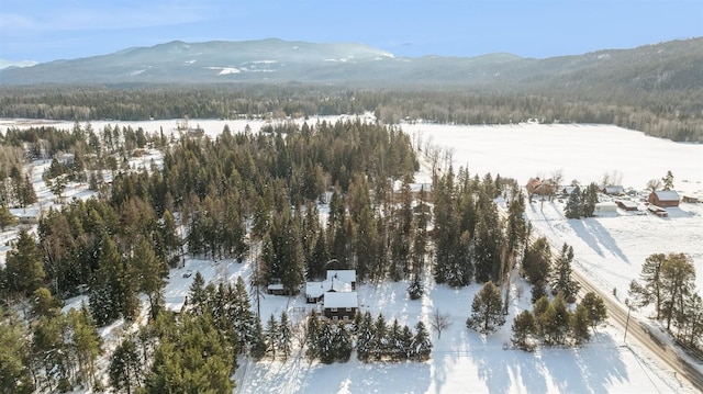 snowy aerial view with a mountain view