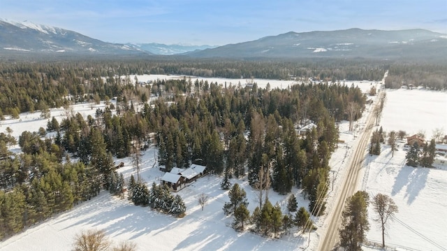 snowy aerial view featuring a mountain view