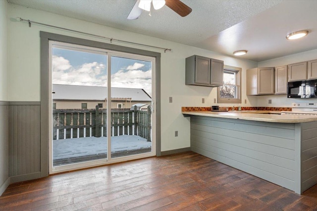 kitchen featuring gray cabinets, ceiling fan, white range with electric cooktop, a textured ceiling, and dark hardwood / wood-style flooring