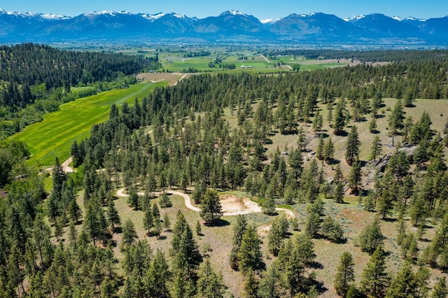 914 Fox Raven Holw, Corvallis MT, 59828 land for sale