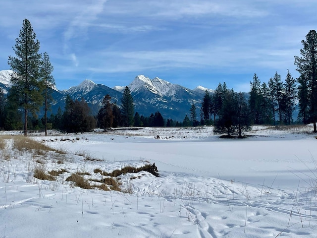 property view of mountains