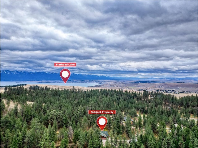 aerial view featuring a mountain view