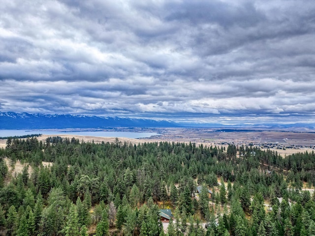 bird's eye view featuring a mountain view