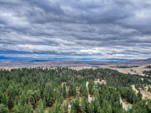 aerial view with a mountain view