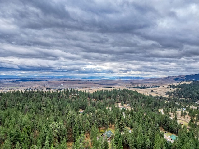 birds eye view of property featuring a mountain view