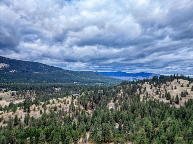 view of mountain feature