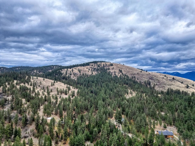 property view of mountains