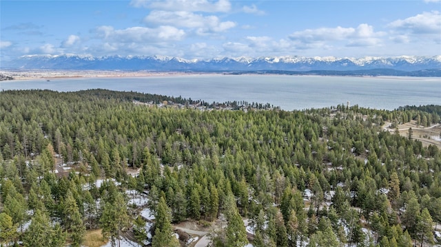 267 Lakeview Dr, Lakeside MT, 59922 land for sale