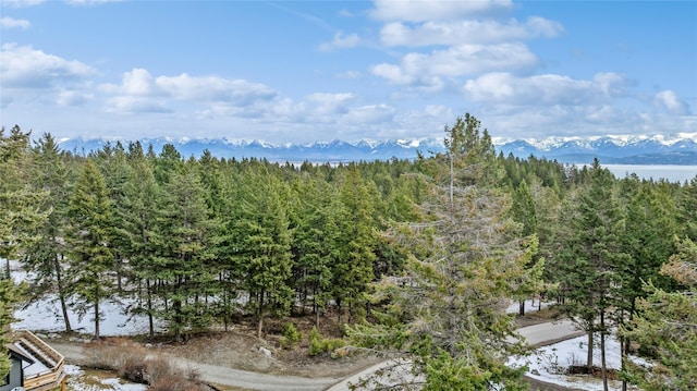 Listing photo 3 for 267 Lakeview Dr, Lakeside MT 59922