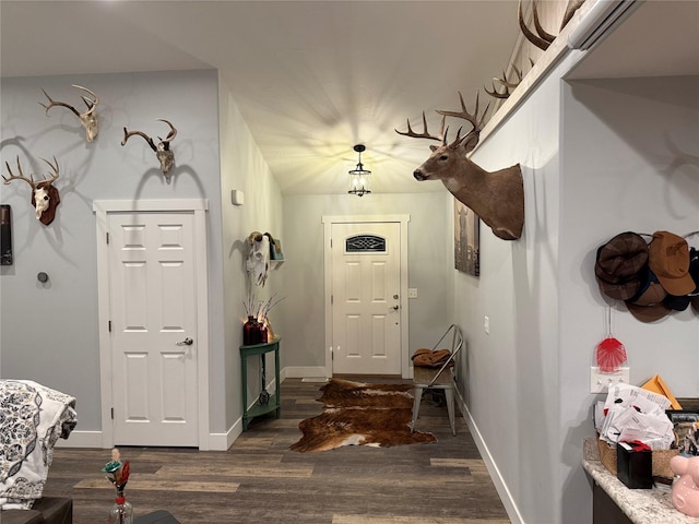 foyer entrance with dark wood-type flooring