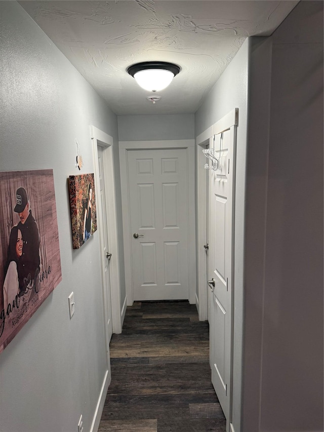 hall with dark wood-type flooring