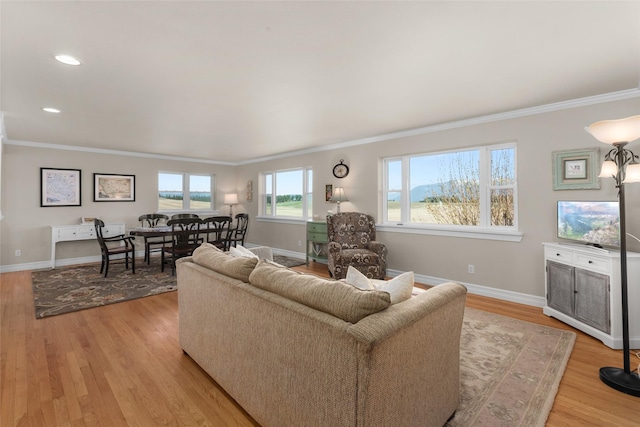 living room with ornamental molding and light hardwood / wood-style flooring