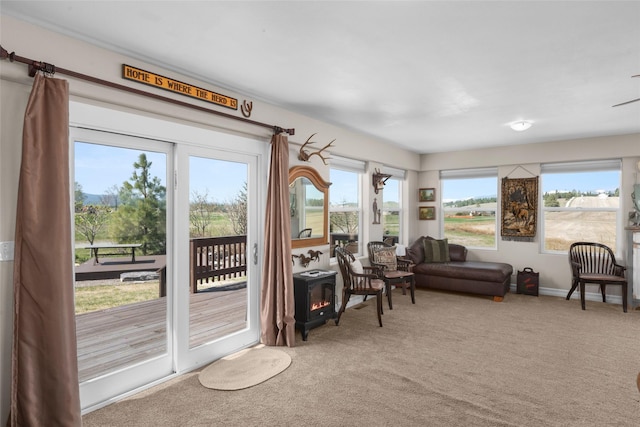 interior space with a wood stove