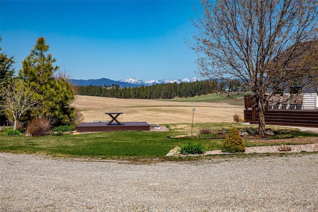 view of yard with a mountain view