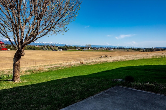 view of yard featuring a mountain view and a rural view