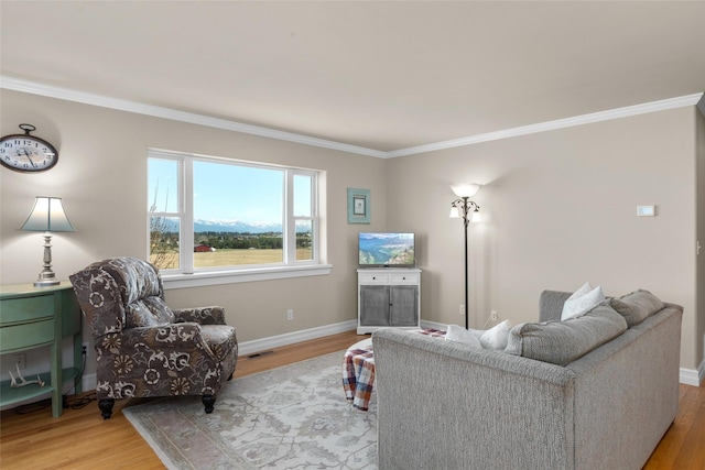 living room featuring ornamental molding and light wood-type flooring